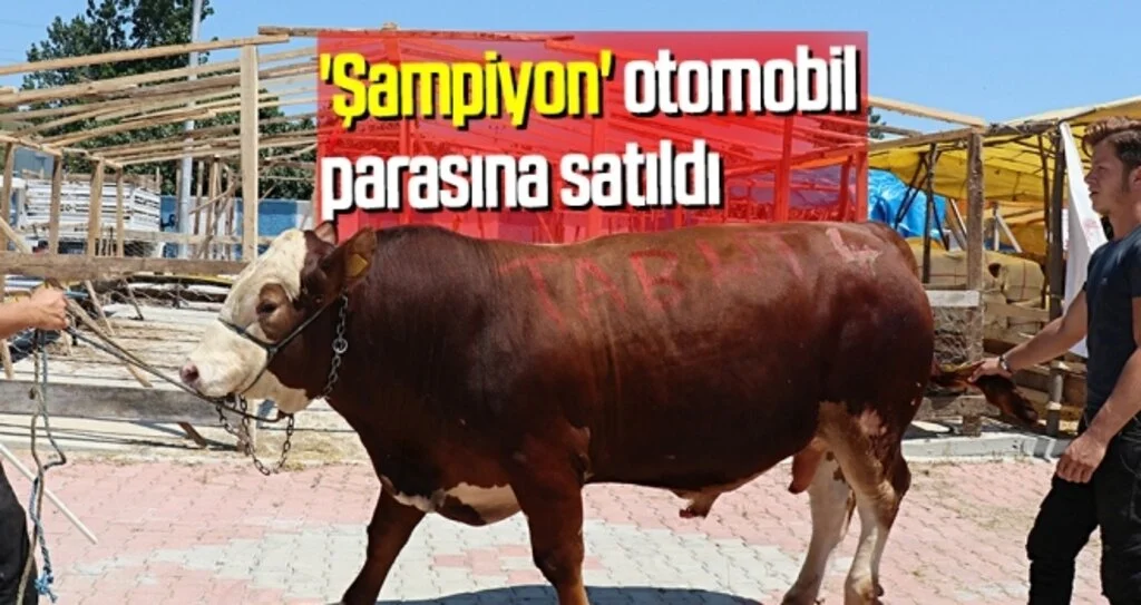 'Şampiyon' otomobil  parasına satıldı