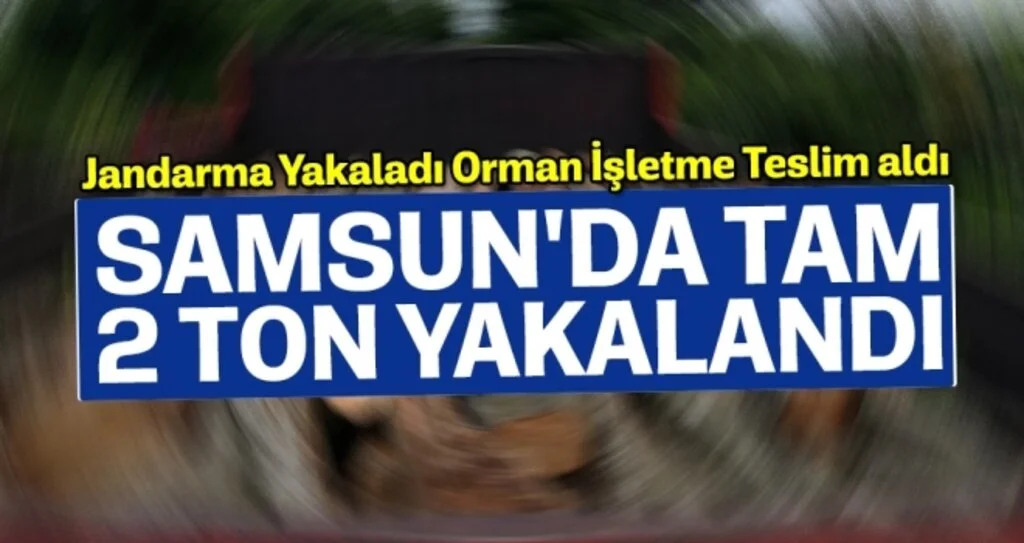 Samsun'da 2 Ton Kaçak Odun Yakalandı