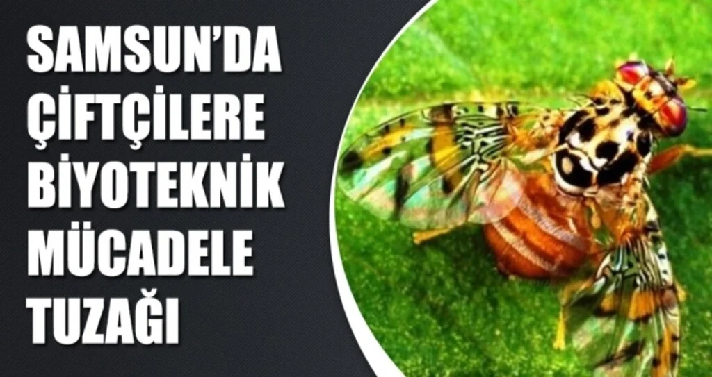 Samsun'da Çiftçilere biyoteknik mücadele tuzağı dağıtıldı