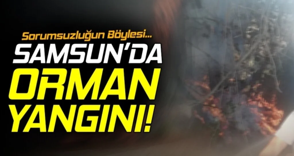 Samsun'da Orman Yangını! Sorumsuzluğun Böylesi...