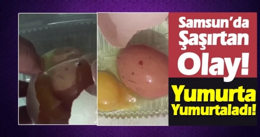 Samsun'da Şaşırtan Olay! Matruşka Yumurta!