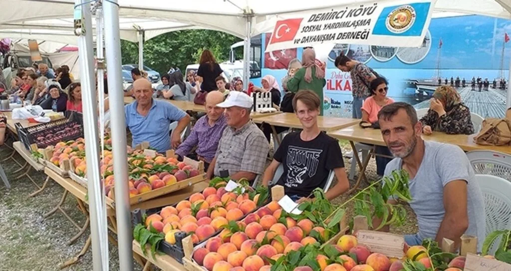 Samsun'da Şeftali Festivali