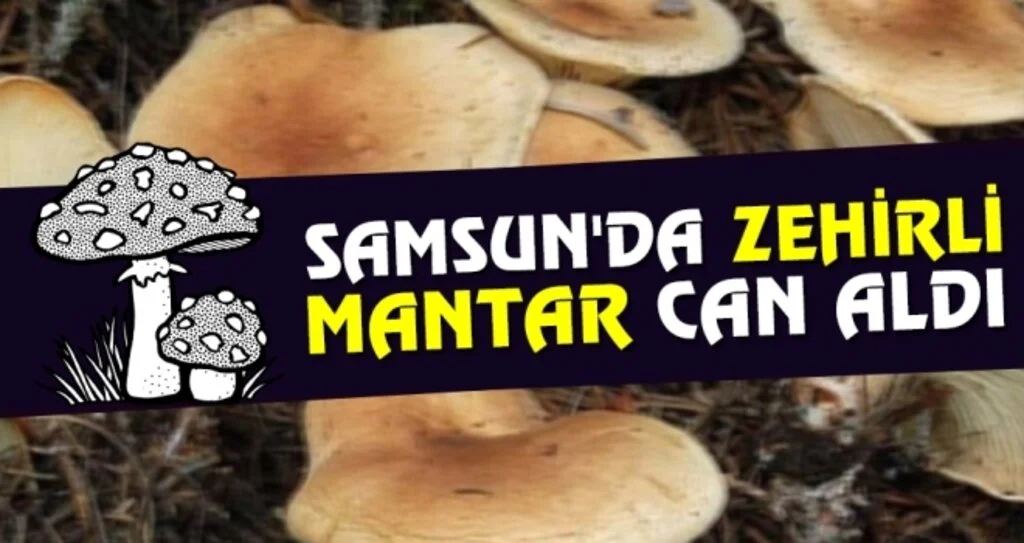 Samsun'da Zehirli Mantar Can Aldı