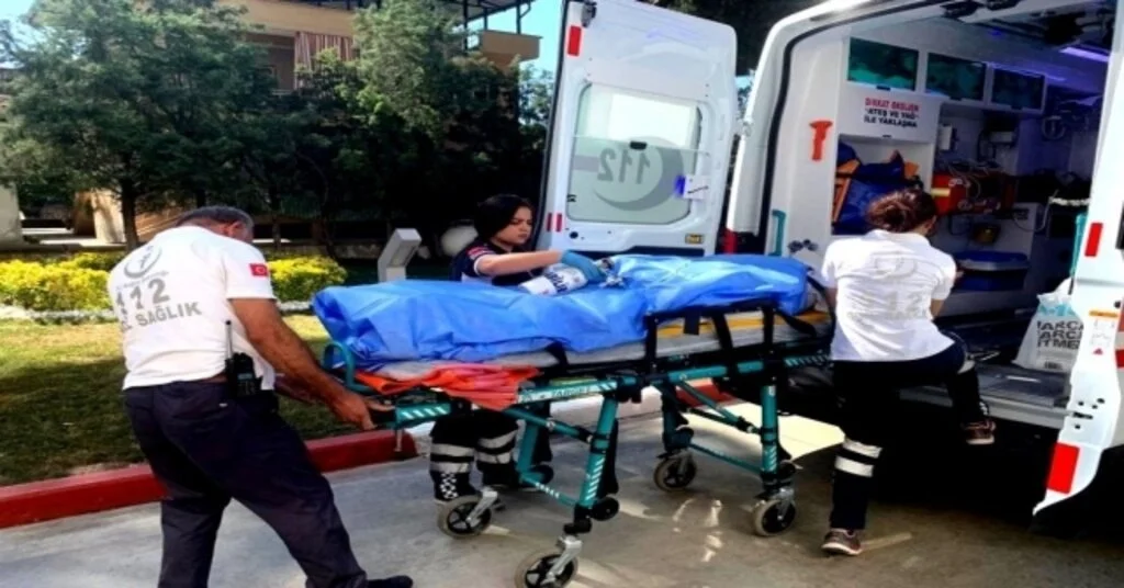 Sarıgölde Arı Sokma Vakaları: 1 Ölü, 1  Yaralı