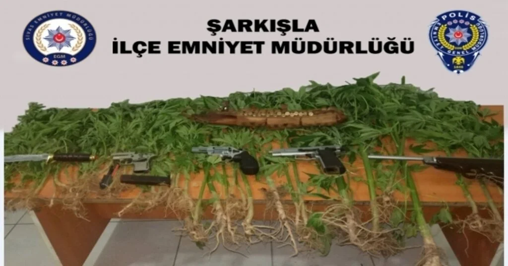 Şarkışlada 59 Kök Hint Keneviri Ele Geçirildi