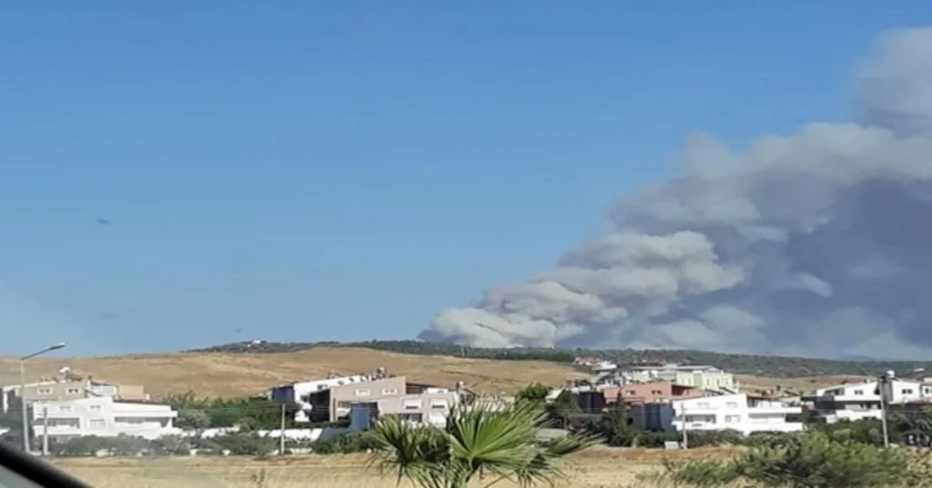 Seferihisarda Orman Yangını