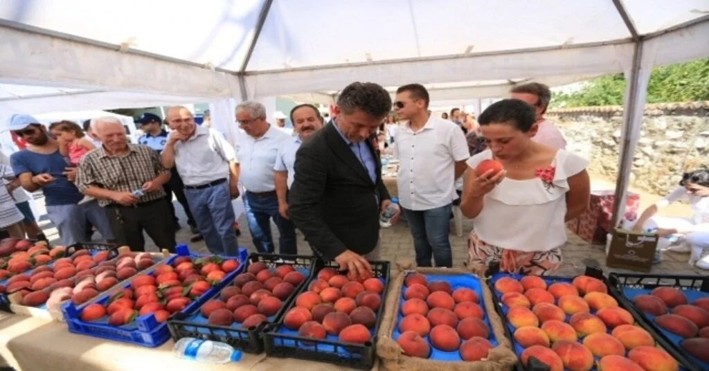 Selçuk Şeftali Şenliği İle Şenlendi