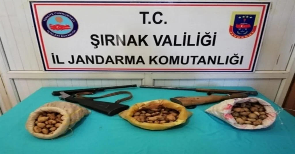 Şırnakta Toplanması Yasaklanan Sahlep Soğanı Ele Geçirildi