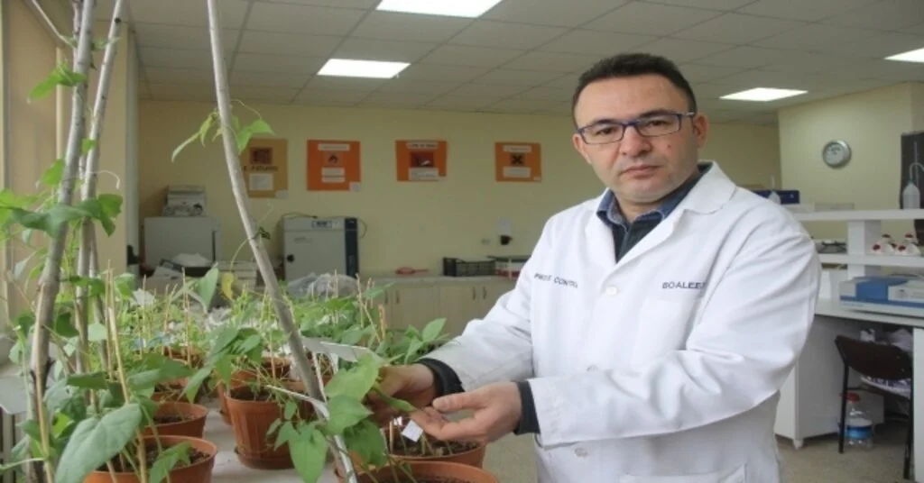 Sivasta “Altın Yumurtlayan Tavuk” Jeotermal Seracılık