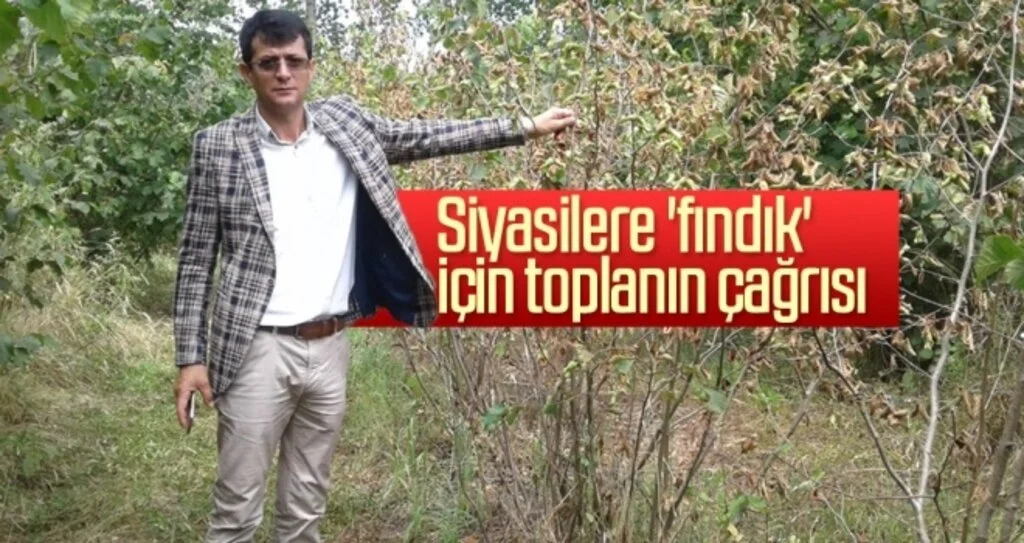Siyasilere 'fındık' için toplanın çağrısı