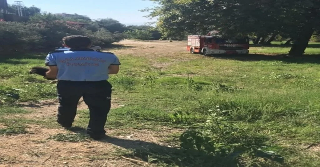 Sulama Kanalına Düşen Yavru Köpekleri İtfaiye Kurtardı