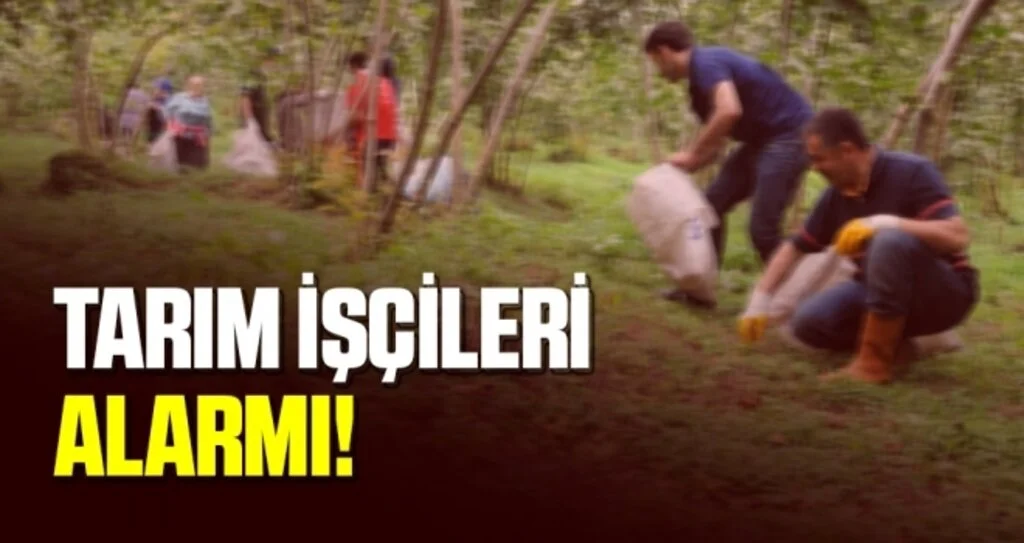 Tarım İşçileri Alarmı 