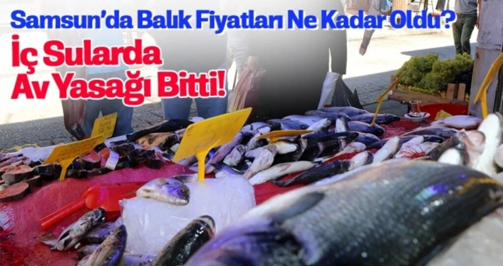 Tatlısu Balıkları Tezgahları Süsledi