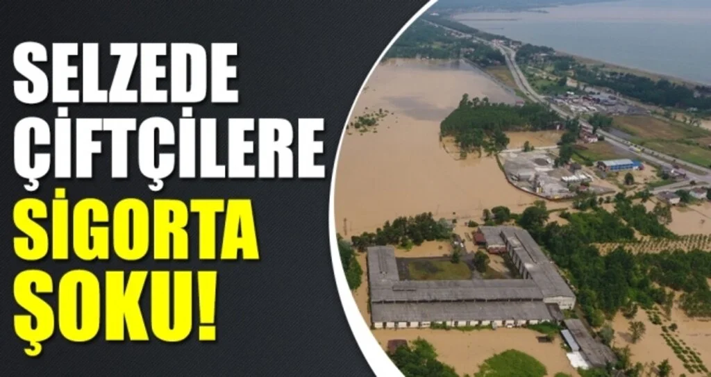 Termeli Selzede Çiftçilere Sigorta Şoku