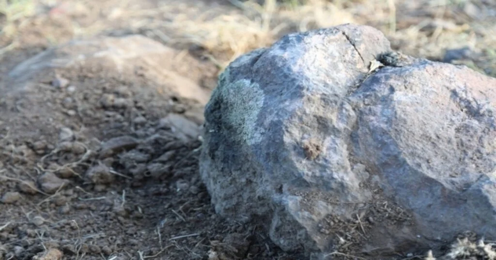 Terör Kurbanı Ayazın En Büyük Hayali, Ailesine Ev Almakmış