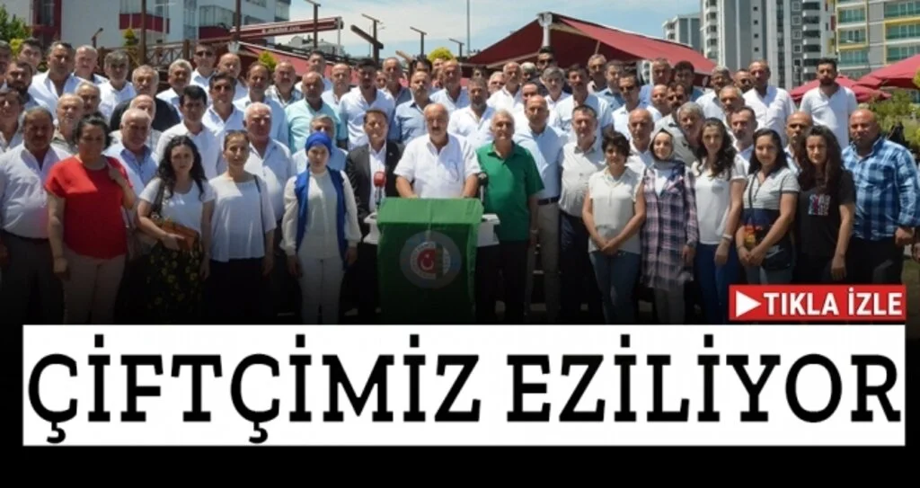 'TMO Fındık Fiyatını Bu Ay Sonu Açıklamalı'