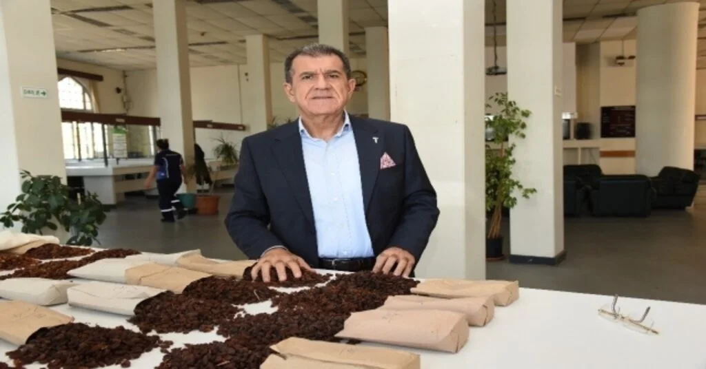 Tmoya Kuru Üzüm Talebi