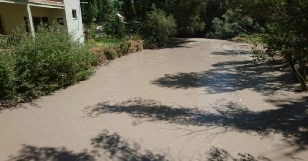 Tohma Çayındaki Kirlilik Ve Balık Ölümleri Korkutuyor