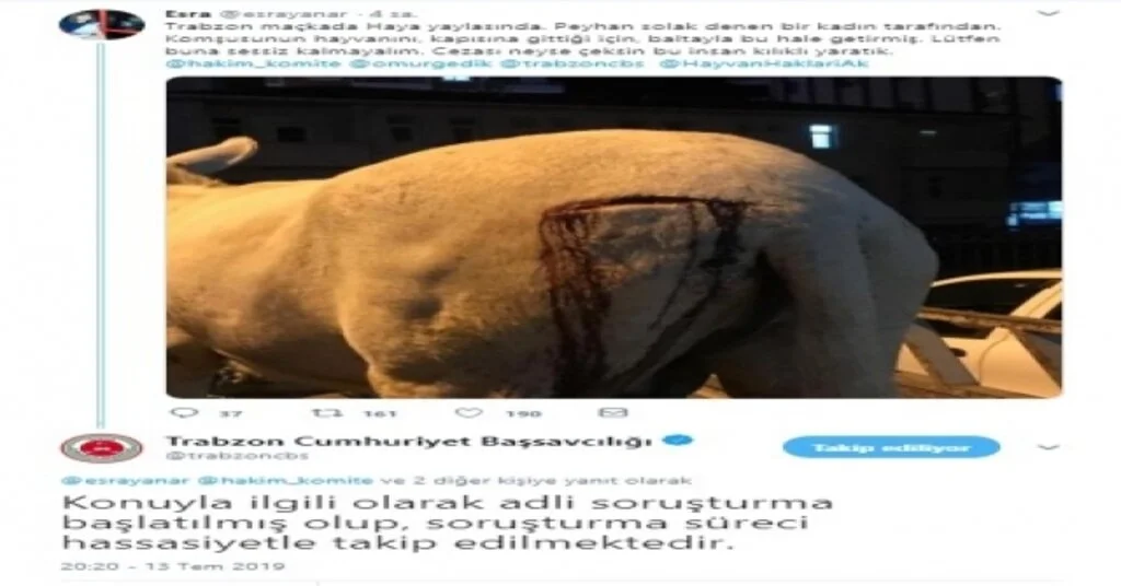 Trabzonda Eşek Saldırıya Uğradı, Başsavcılık Soruşturma Başlattı