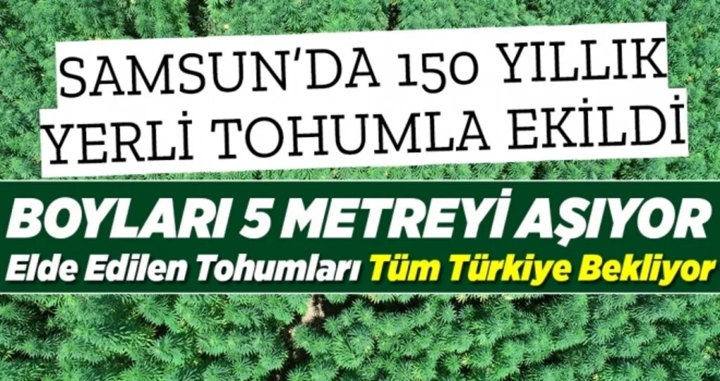 Türkiye Samsun'da Gelecek Tohumları bekliyor