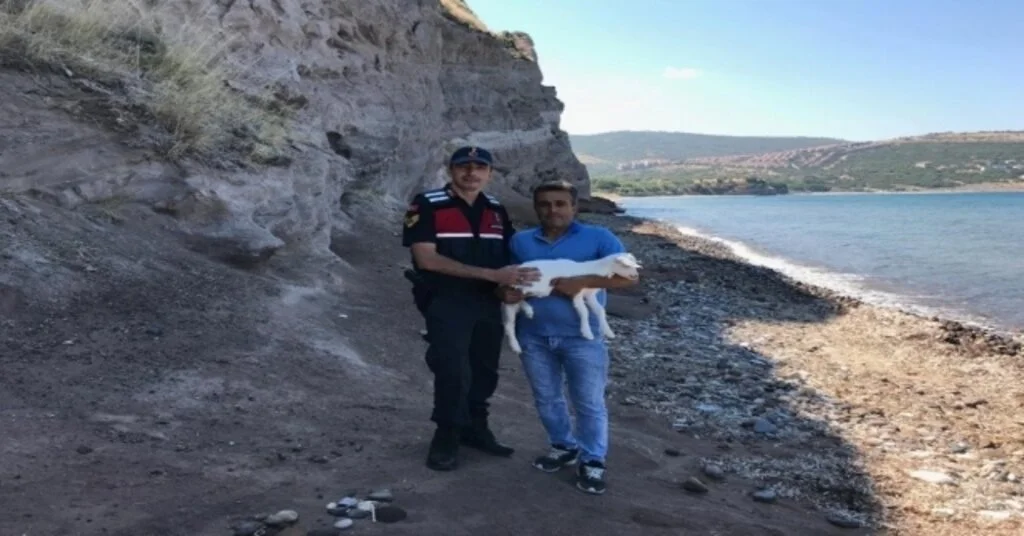 Uçurumda Nefes Kesen Oğlak Kurtarma Operasyonu