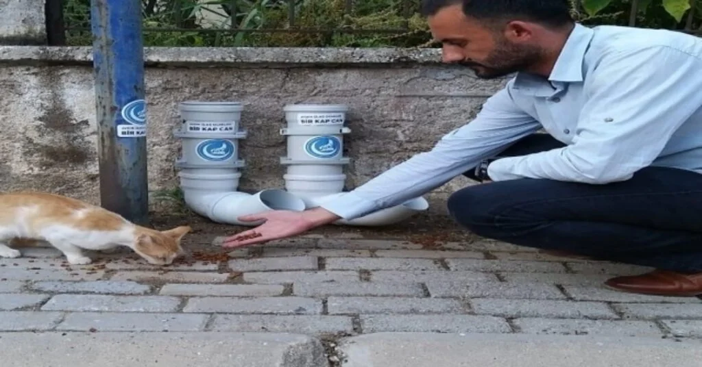 Ülkü Ocaklarından Sokak Hayvanları İçin Örnek Davranış