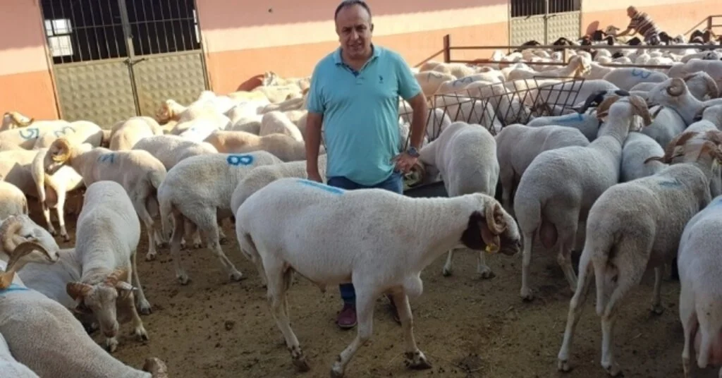 Vatandaşlara Kurban Alımı İle Kesimi Uyarısı