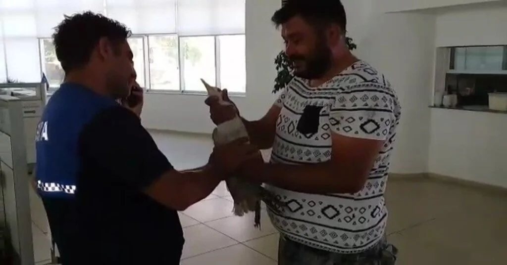 Yaralı Martının İmdadına Oto Kurtarıcı Şoförü Yetişti