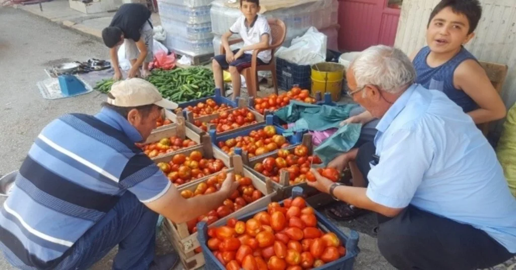 Yavuzelide Doğal Sebzeler Beklenen İlgiyi Görmüyor