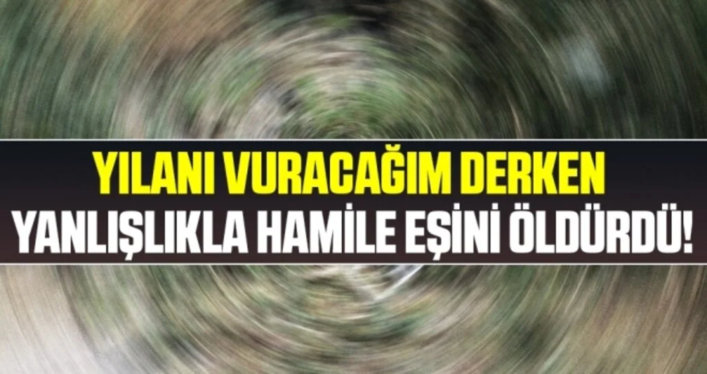 Yılanı vuracağım derken yanlışlıkla hamile eşini öldürdüğü iddiası