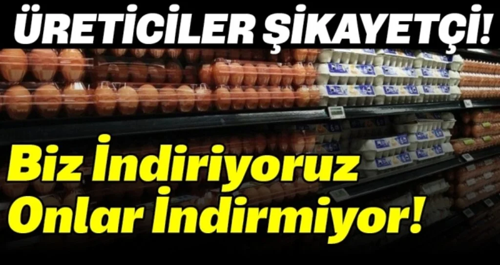 Yumurta üreticileri fiyatların düşmemesinden şikayetçi