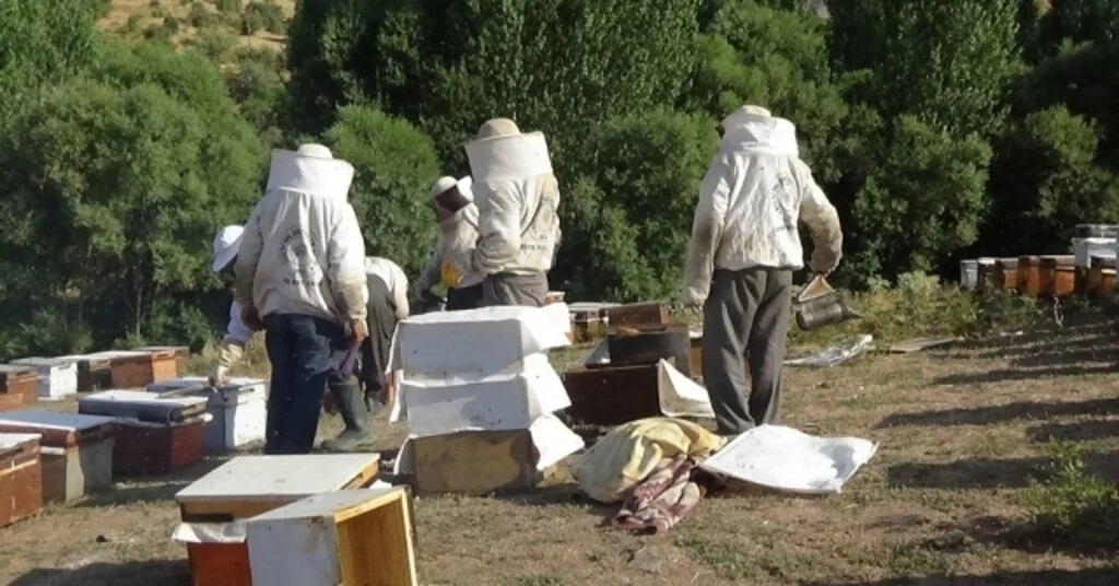 45 Bin Kovandan 700 Ton Bal Bekleniyor