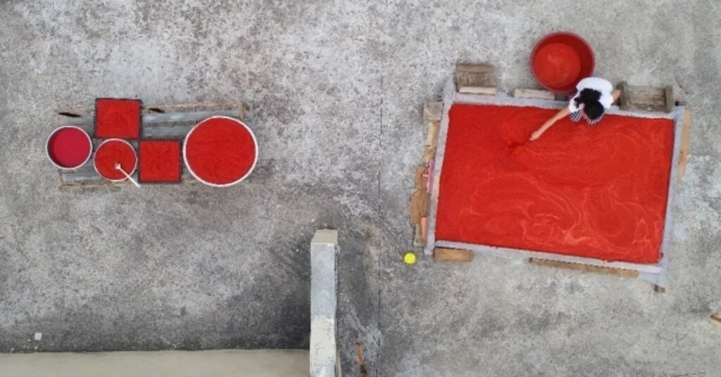 Adanada Biberin Salça Yolculuğu Başladı, Damlar Kırmızıya Boyandı