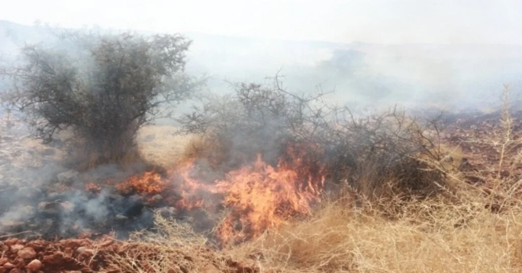 Adıyamanda, Orman Yangını Korkuttu
