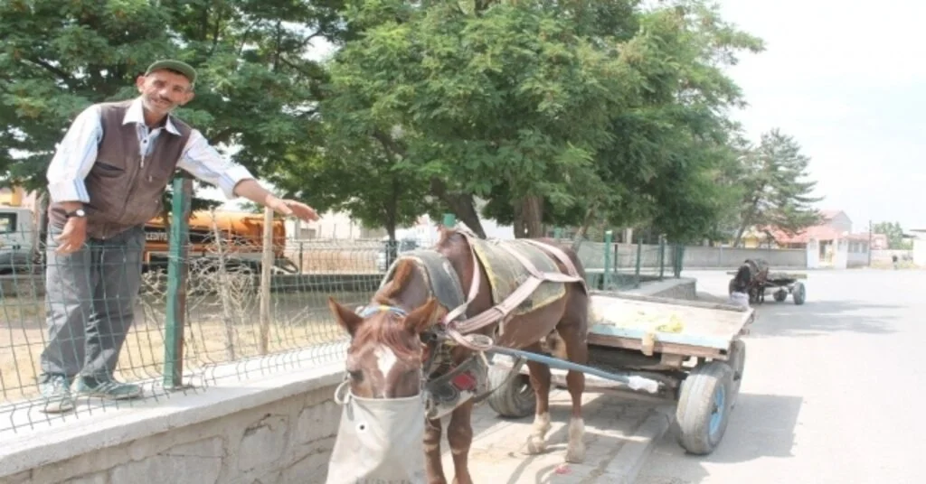 Ağrıda At Arabacılarının Zorlu Ekmek Mücadelesi