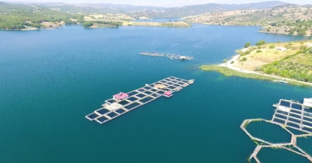 Alabalıktan Yıllık 8 Milyon Euro Gelir