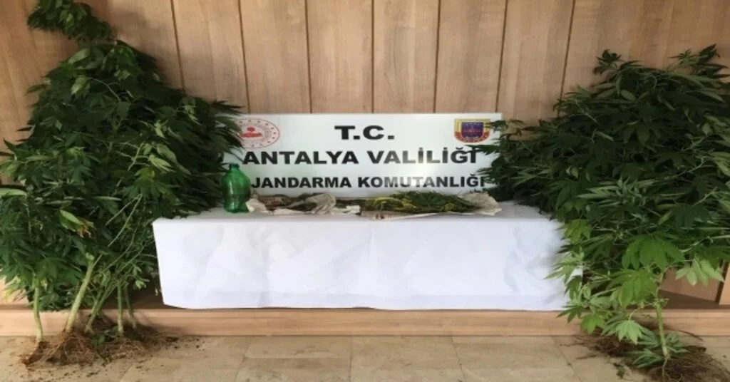 Alanyada Uyuşturucu Operasyonu