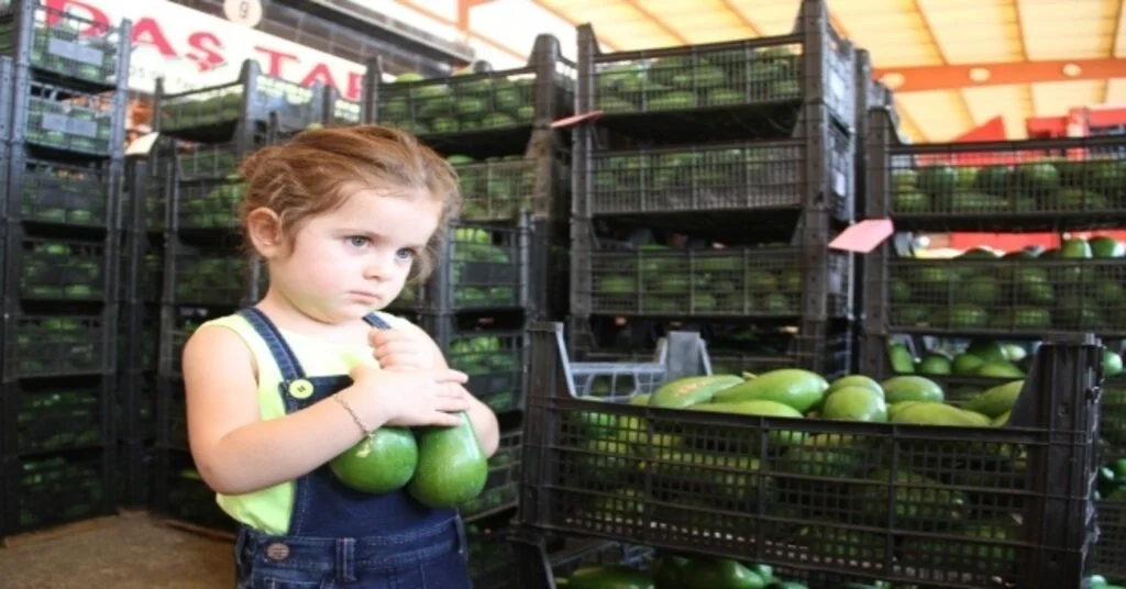 Alanyadan Ukraynaya 3.5 Ton Avokado İhracatı