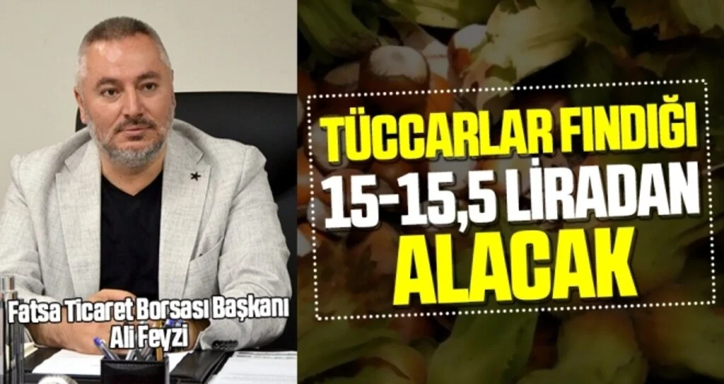 Ali feyzi: Tüccarlar fındığı 15-15,5 liradan alacak