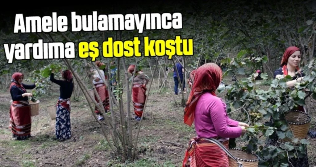 Amale bulamayınca yardıma eş dost koştu