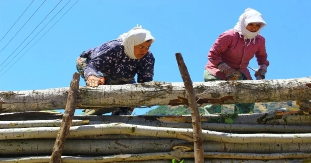 Aydındaki Keresteci Kadınların Ekmek Mücadelesi