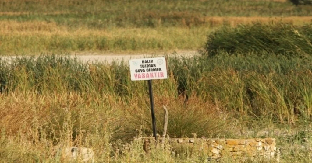 Balıkdamı Kuş Cennetinde Yasağa Rağmen Av Devam Ediyor