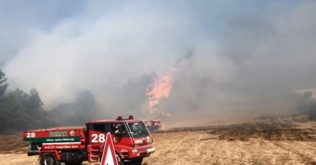 Balıkesirde Çıkan Orman Yangını Söndürüldü