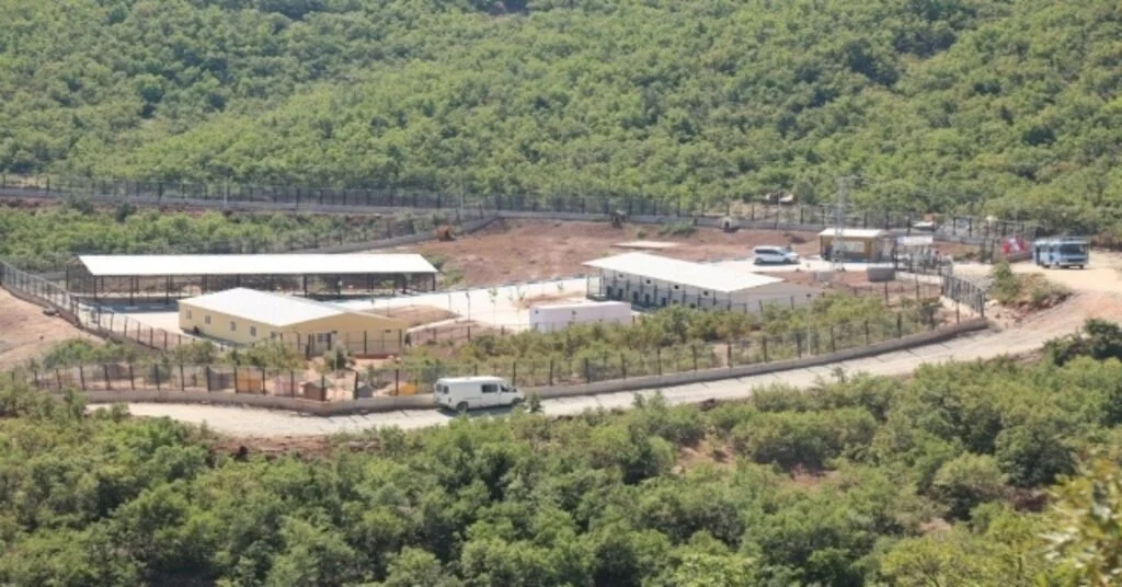 Barınakta İçleri Sızlatan Görüntü