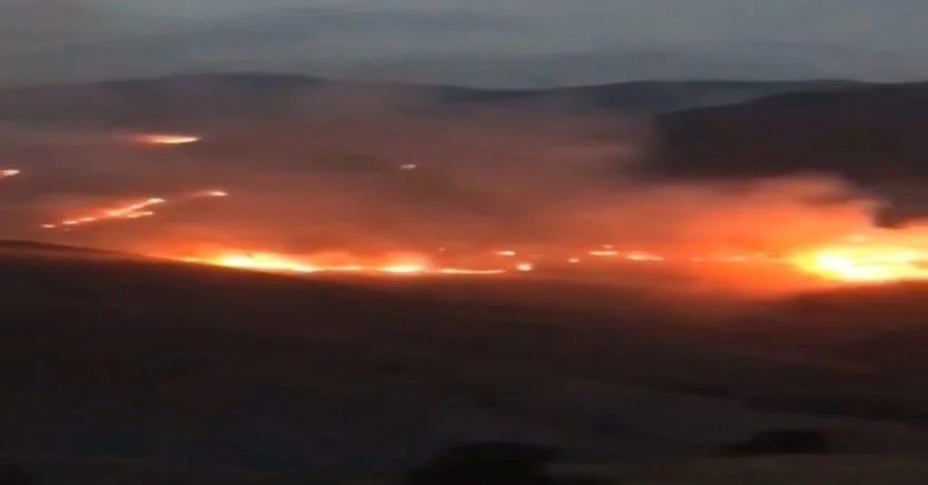 Bayburtta Orman Yangını