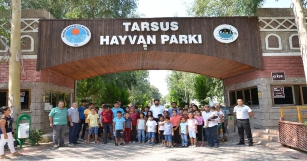 Belgesellerdeki İzledikleri Hayvanları İlk Kez Canlı Gördüler