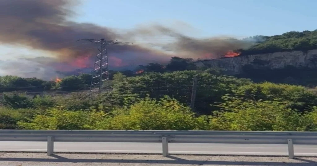 Bigada Orman Yangını