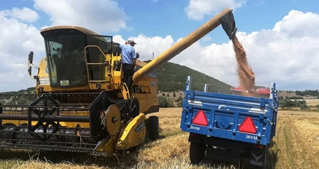 Buğday üreticisini sevindiren hasat