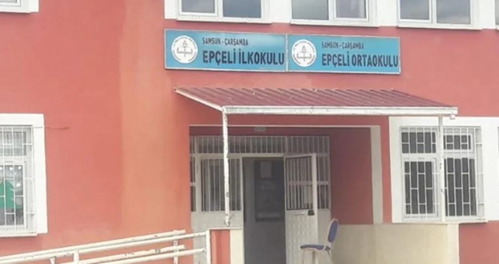 Bütün Okulu Tek Başına Boyadı