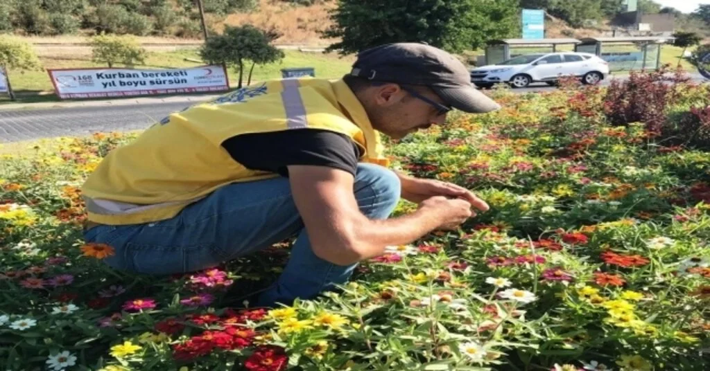 Büyükşehir Belediyesi Aydını Bayrama Hazırladı